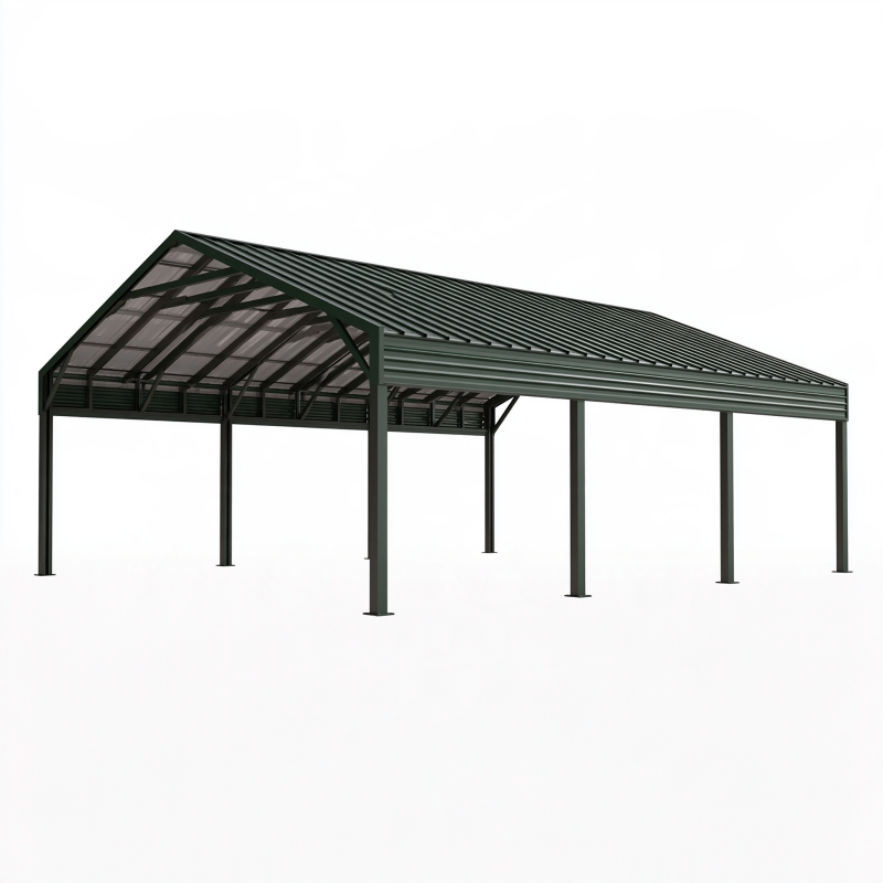 Abri voiture 600 x 300 x 270 cm en acier vert foncé avec toit incliné